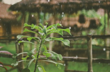 雨勋(雨勋《大赢家》上热搜，网友直呼：被他的演技圈粉)